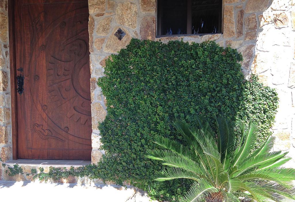 La Ventana Palapas La Choyaヴィラ エクステリア 写真